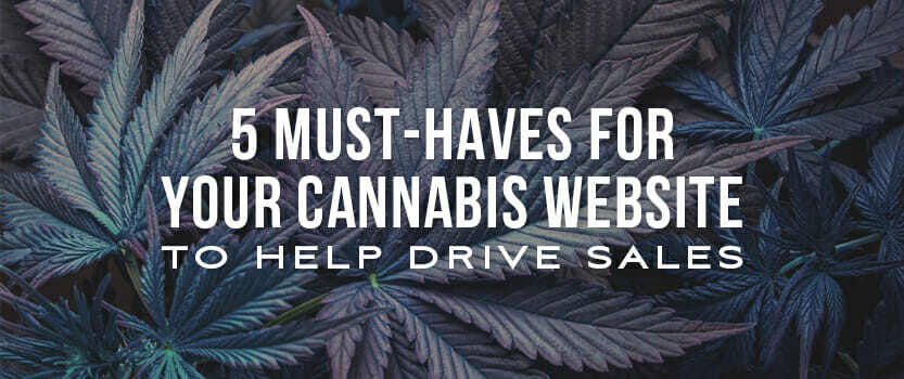 5 Must-Haves for your Cannabis Website to Help Drive Sales