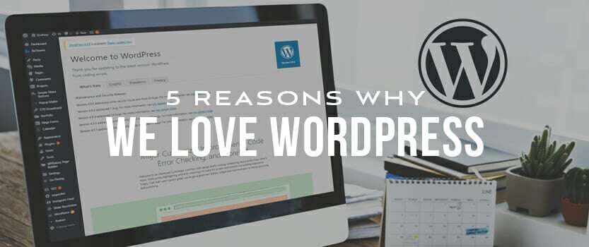 5 Reasons Why We Use WordPress