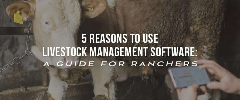 5 Reasons to Use Livestock Management Software: A Guide for Ranchers